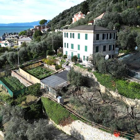 Cav Gli Ulivi di Bogliasco Villa Esterno foto