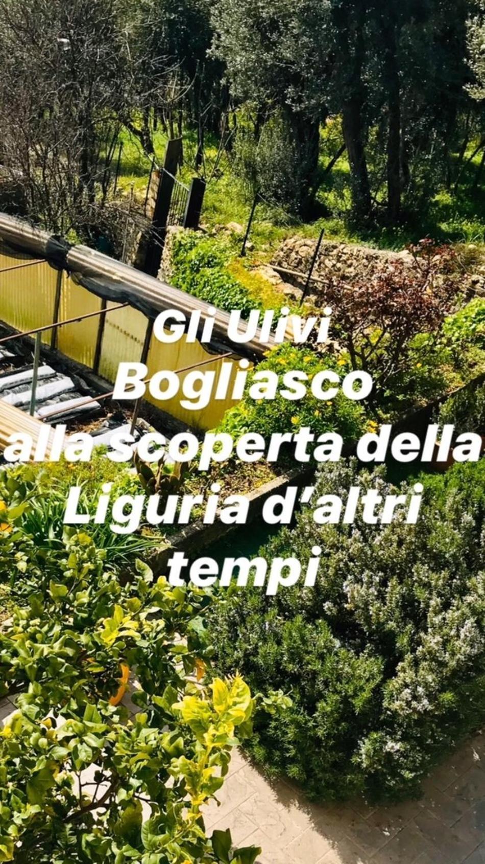 Cav Gli Ulivi di Bogliasco Villa Esterno foto