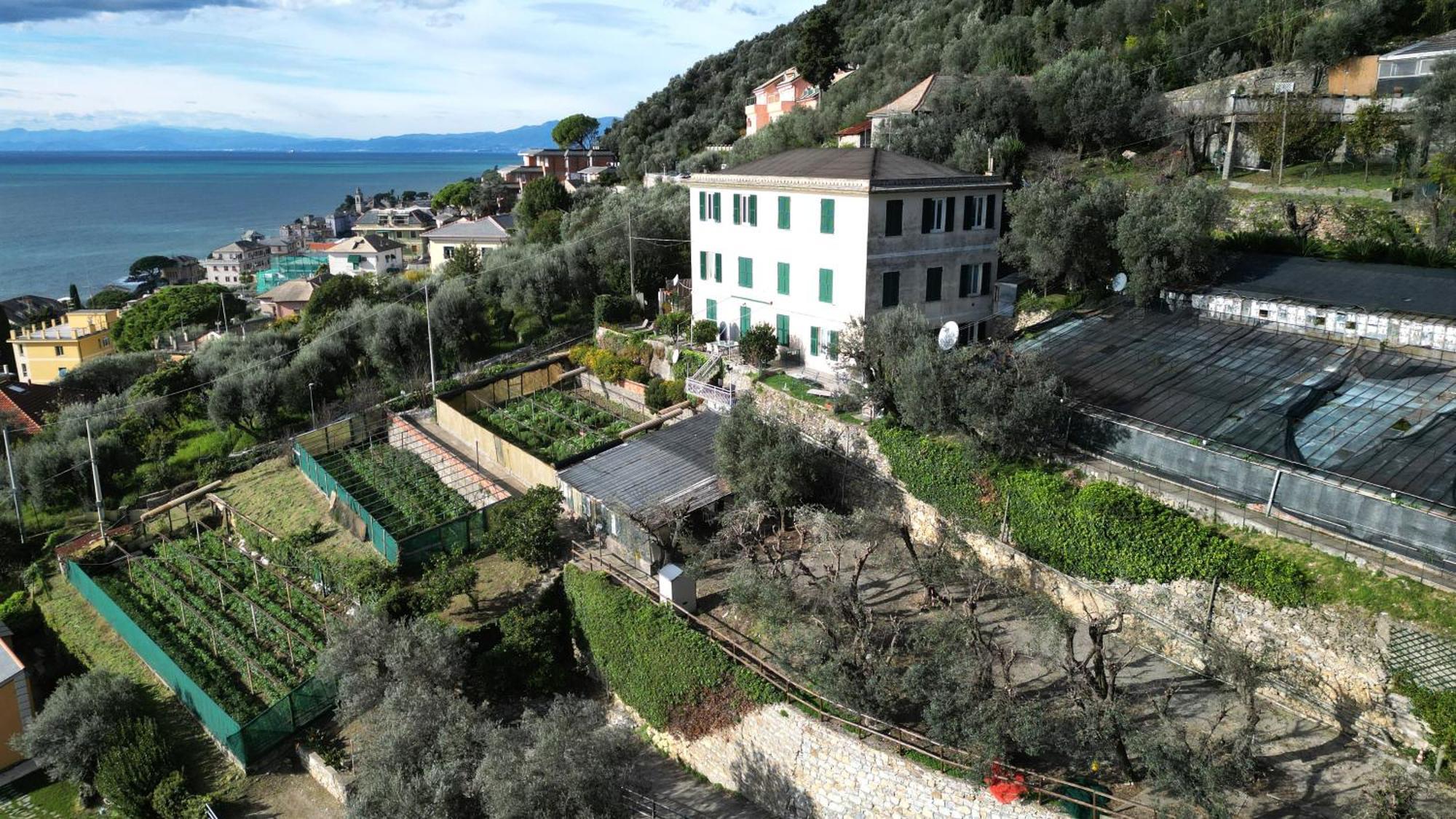 Cav Gli Ulivi di Bogliasco Villa Esterno foto